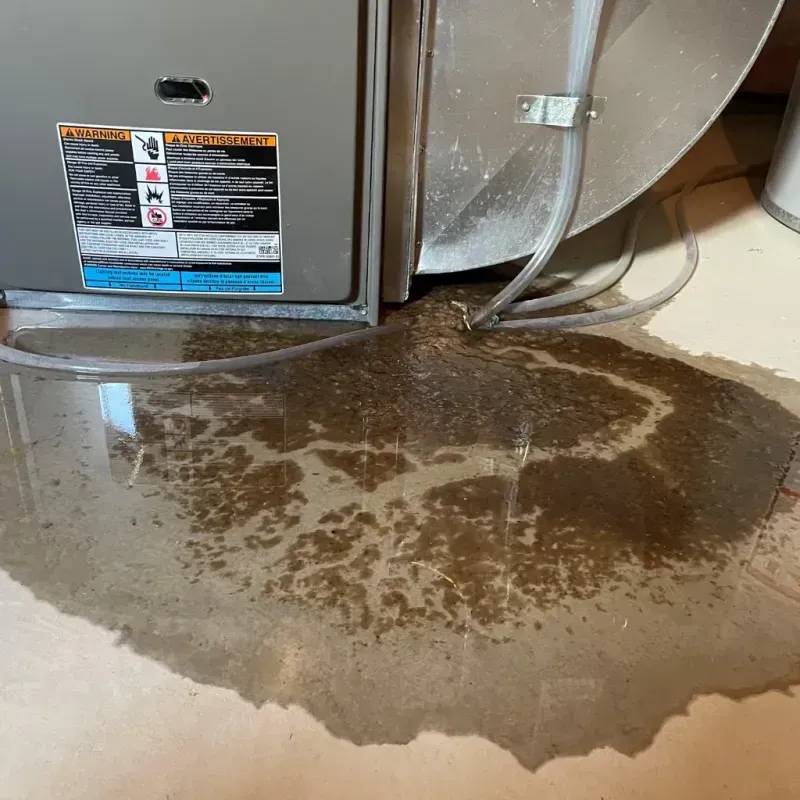 Appliance Leak Cleanup in Battle Ground, IN